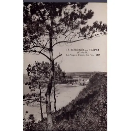 Jusqu’à Épuisement Des Stocks Carte postale 22 - St-Michel-en-Greves - la plage a travers les Pins - Voyage - Dos divise...