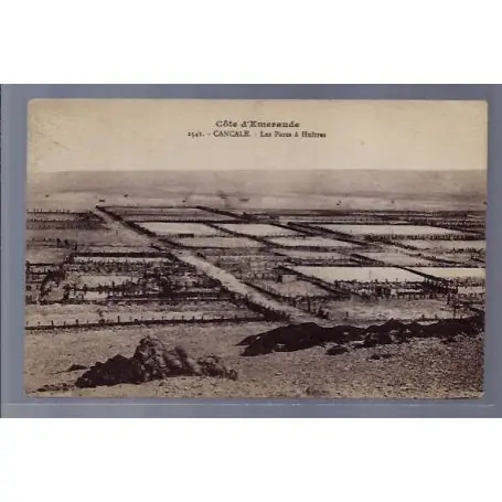 Carte postale 35 - Cancale - Cote d' Emeraude - Les parcs a Huitres - Voyage - Dos divise... Populaire