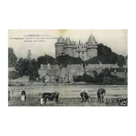 Prix Cassé Carte postale 35 - Combourg - Chateau et paturage