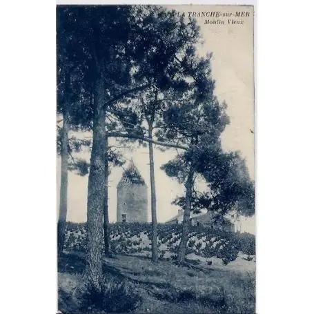 Carte postale 40 - La tranche sur Mer - Vieux moulins - Voyage - Dos divise Dernière Chance