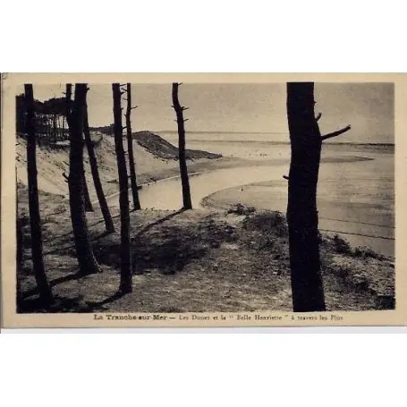 Carte postale 40 - La tranche-sur-Mer -Les dunes et la belle Henriette a travers les Pins - Commande En Gros