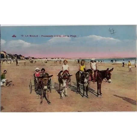 Carte postale 44 - La baule - Promenade a anes sur la plage -Non voyage - Dos divise Marque