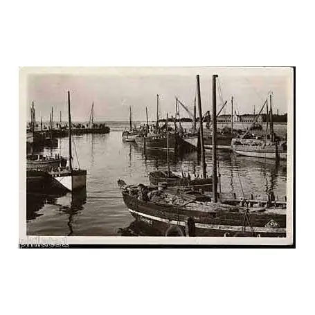 Carte postale 44 - Le Croisic - Le port a maree haute Dernière Chance