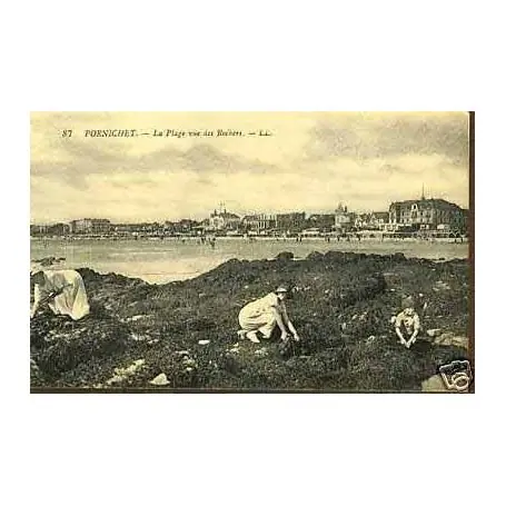 Carte postale 44 - Pornichet - La plage vue des rochers Édition Limitée