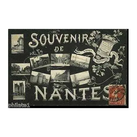 Premium Carte postale 44 - Souvenir de Nantes - Multivue
