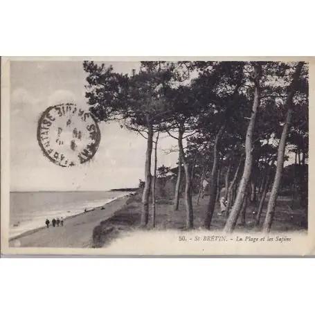 Seulement Aujourd’hui Carte postale 44 - St Brevin - La plage et les sapins