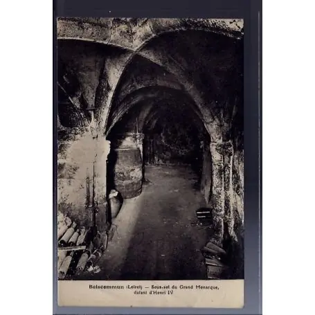 Carte postale 45 - Boiscommun - Sous-sol du Grand Monarque datant d' Henri IV - Voyage - ... Réduction