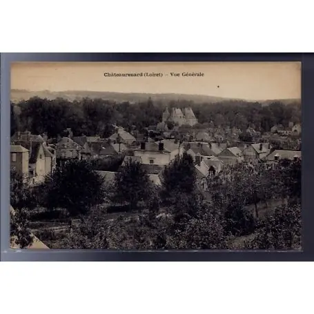 Carte postale 45 - Chateaurenard - Vue generale - Voyage - Dos divise... Prix Promo