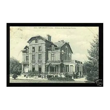 Retour Gratuit Carte postale 45 - Les Choux - Chateau du moulin aux lievres