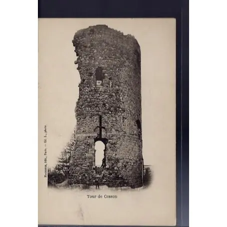 Populaire Carte postale 49 - Angers - La Tour de Cesson - Non voyage - Dos non divise...