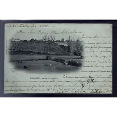 Offre Du Jour Carte postale 49 - Chemille - Avenue de Beaupreau - Voyage - Dos non divise...