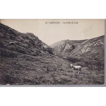 Populaire Carte postale 50 - Carolles - La vallee du Lude - Agneaux