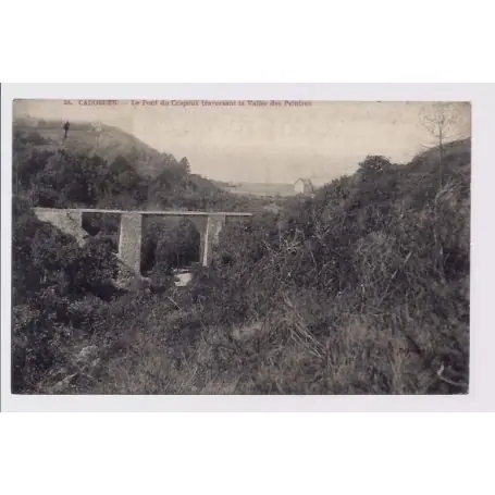 Seulement Aujourd’hui Carte postale 50 - Carolles - Le pont du Crapeux traversant la vallee des Peintres - Voyage