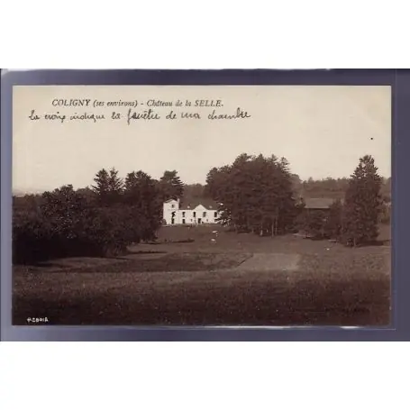 Affaire À Saisir Carte postale 57 - Coligny - chateau de la Selle - Voyage - Dos divise