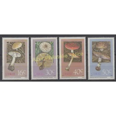 Afrique du Sud - Ciskei - 1988 - No 145/148 - Champignons Top Vente