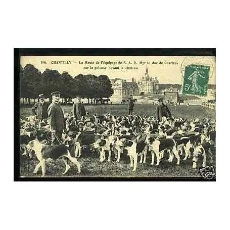 Carte postale 60 - Chantilly - La meute de l'equipage de S.A.R.... Haute Qualité