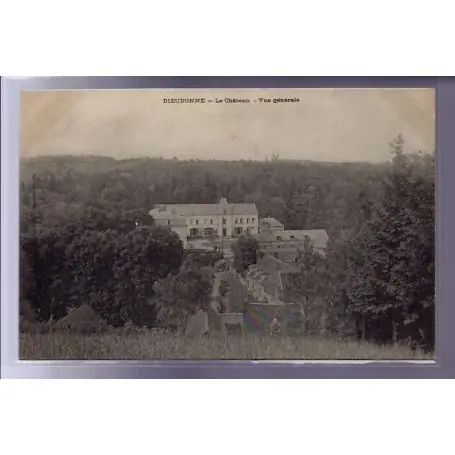 Fait Main Carte postale 60 - Dieudonne - le chateau - vue generale - Dos divise