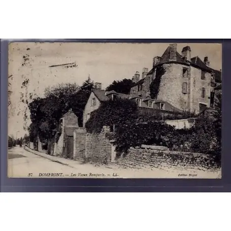 Expédition Rapide Carte postale 61 - Domfront - Les vieux remparts - Voyage - Dos divise