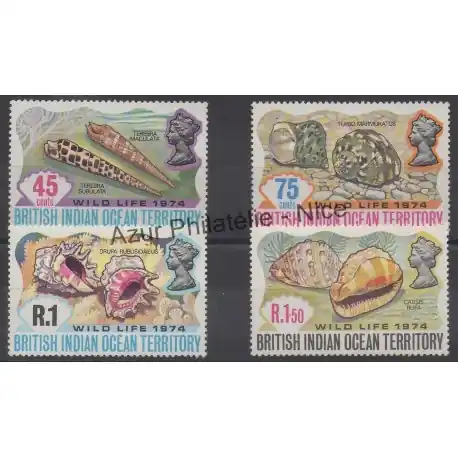 Océan Indien - 1974 - No 59/62 - Coquillages Livraison Mondiale