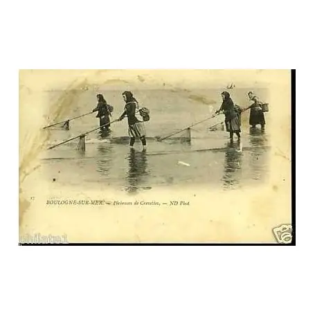 Carte postale 62 - Boulogne/Mer - Pecheuses de crevettes Marque