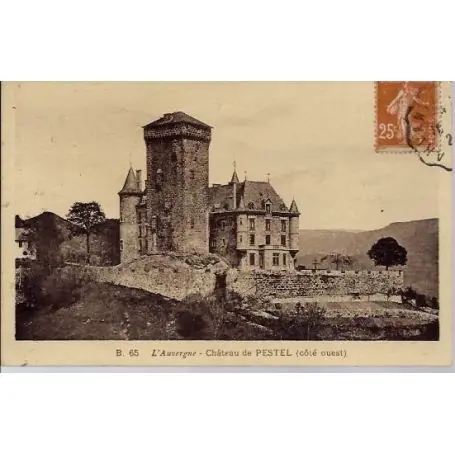 Carte postale 63 - Chateau du Pestel - Cote Ouest Meilleur Prix