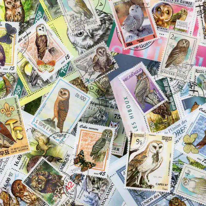 Chouettes et Hiboux 50 timbres thématiques tous différents. Retour Gratuit