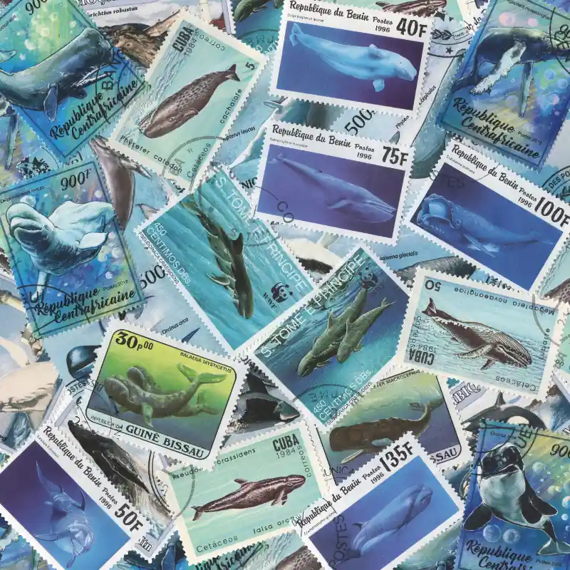 Baleines 25 timbres thématiques tous différents. Commande En Gros