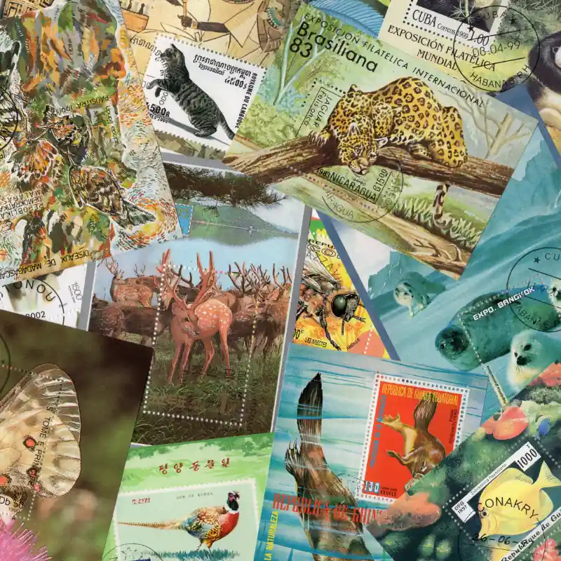 Animaux blocs-feuillets de timbres thématiques. Commande En Gros