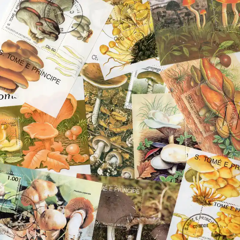 Champignons 25 blocs-feuillets de timbres thématiques. Réduction