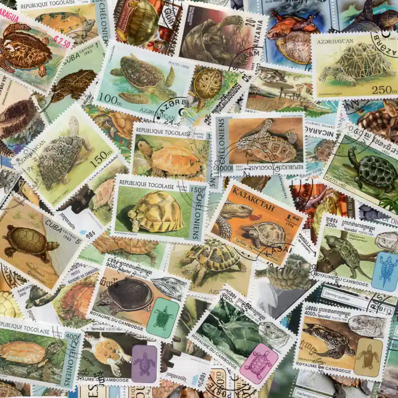 Tortues timbres thématiques tous différents. Usine Directe