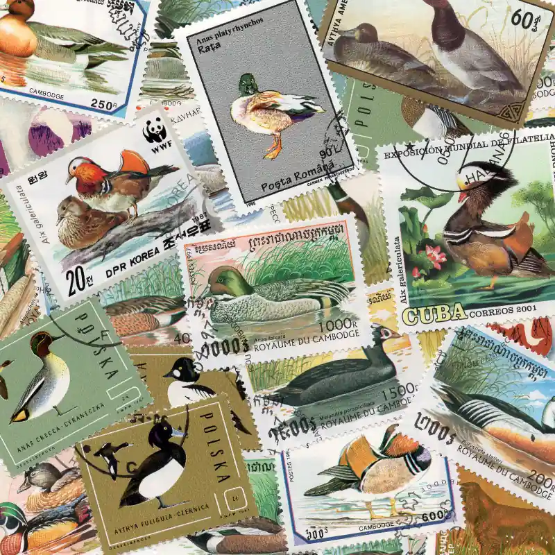 Canards 25 timbres thématiques tous différents. Soldes