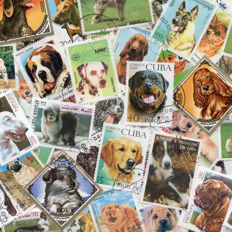Chiens timbres thématiques tous différents. Offre Du Jour