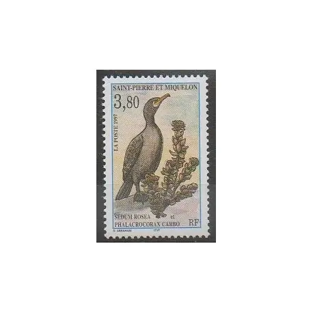 Offre Du Jour Saint-Pierre et Miquelon - 1997 - No 642 - Oiseaux