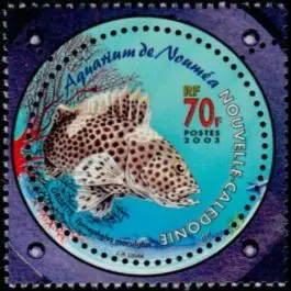 Timbre de collection Nouvelle-Caledonie - 0890 Vente Directe