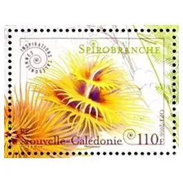 Timbre de collection Nouvelle-Caledonie - 1283 Prix Choc