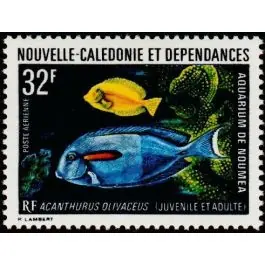 Timbre de collection Nouvelle-Caledonie - Poste Arienne 145 Jusqu’à Épuisement Des Stocks