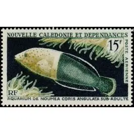 Timbre de collection Nouvelle-Caledonie - Poste Arienne 082 Seulement Aujourd’hui