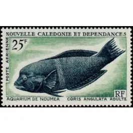 Acheter Direct Timbre de collection Nouvelle-Caledonie - Poste Arienne 083