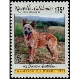Timbre de collection Nouvelle-Caledonie - Poste Arienne 288 Meilleure Qualité