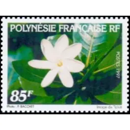 Timbre de collection Polynesie Francaise - 0536 Gros Lot