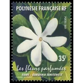 Timbre de collection Polynesie Francaise - 0652 Gros Lot