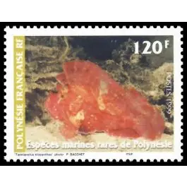 Timbre de collection Polynesie Francaise - 0583 Achetez Aujourd’hui